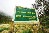 Địa phận Vườn Quốc gia Bidoup – Núi Bà, huyện Lạc Dương (Lâm Đồng).