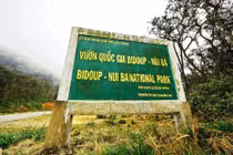 Địa phận Vườn Quốc gia Bidoup – Núi Bà, huyện Lạc Dương (Lâm Đồng).