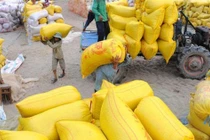 Hơn 38.000 tấn gạo được mở tờ khai vào 0 giờ ngày 26-4