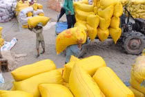 Hơn 38.000 tấn gạo được mở tờ khai vào 0 giờ ngày 26-4