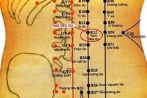 Các huyệt có tác dụng trị bệnh đường tiêu hóa, tiết niệu