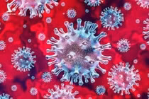 Hà Nội tăng cường giải trình tự gene tìm biến chủng Omicron mới