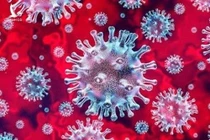 Hà Nội tăng cường giải trình tự gene tìm biến chủng Omicron mới