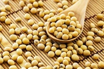 Sính thực phẩm chức năng