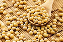 Sính thực phẩm chức năng