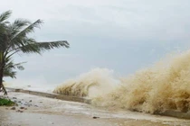 Cơ chế của bão và áp thấp nhiệt đới