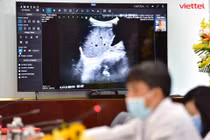 Hơn 1.800 ca Covid-19 nặng đã được hội chẩn qua Telehealth