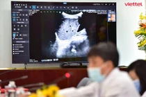 Hơn 1.800 ca Covid-19 nặng đã được hội chẩn qua Telehealth