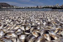 An ninh quốc gia trong thu hút FDI: “Chọn bạn mà chơi”