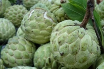 Rửa sạch na trước khi ăn