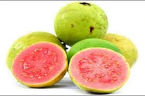 Quả ổi không có tác dụng hạ đường huyết