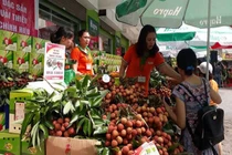 “Nụ cười” từ vựa vải Bắc Giang