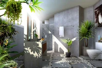 Cây xanh giúp giải phóng khí độc từ nhựa    