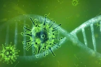 Brazil phát hiện virus chưa từng gặp, Nigeria cảnh báo căn bệnh kỳ lạ