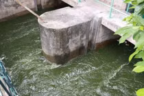 150 tỷ làm sạch sông Tô Lịch có lãng phí?