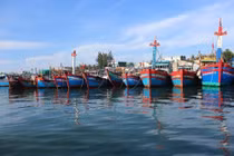 Thanh Hóa: Phạt trên 180 triệu đồng do vi phạm trong khai thác, bảo vệ nguồn lợi thủy sản 