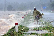  Thời tiết bất thường vào pha chuyển giao ENSO