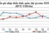 Thịt gà ngoại ồ ạt về Việt Nam, Bộ Công Thương cảnh báo khẩn