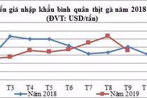 Thịt gà ngoại ồ ạt về Việt Nam, Bộ Công Thương cảnh báo khẩn