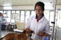  Kiến nghị "trả lại tên" bác sĩ thú y để sinh viên không thiệt thòi