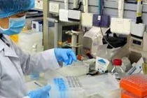 Nhiều bộ kit của Việt Nam sẽ được lưu hành rộng rãi