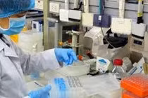 Nhiều bộ kit của Việt Nam sẽ được lưu hành rộng rãi