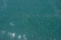 Robot từ tính thu thập và phân hủy vi nhựa trong đại dương