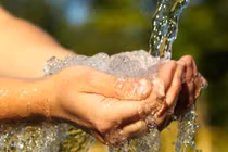 Nhận biết nước sinh hoạt nhiễm chì