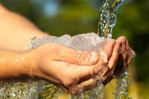 Nhận biết nước sinh hoạt nhiễm chì