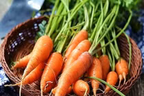 Cà rốt giàu vitamin và khoáng chất 