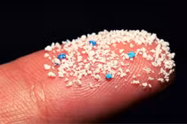 Hạt vi nhựa xuất hiện nhiều trong cá biển châu Á