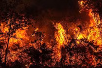 Thiết bị tự động phát hiện sớm cháy rừng