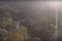 Phương thức đơn giản hóa giải sự biến đổi khí hậu toàn cầu