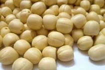 Suýt sảy thai vì tự ý dùng ý dĩ