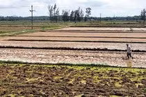 Sử dụng đất hạn chế biến đổi khí hậu