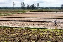 Sử dụng đất hạn chế biến đổi khí hậu