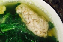 Canh rau cần, óc lợn trị nhiệt miệng