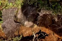 Núi nứt dài hơn 200 mét, hàng chục hộ dân huyện miền núi Quảng Trị di dời khẩn