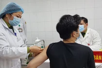 Tác dụng phụ vắc xin Covid-19 Nanocovax thấp hơn Pfizer, Moderna