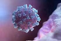 Người chưa tiêm văcxin là “nhà máy” sản xuất biến thể?