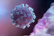 Người chưa tiêm văcxin là “nhà máy” sản xuất biến thể?