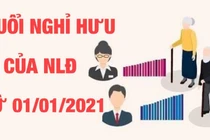 Đối với năm đóng BHXH, hầu hết người lao động phải tham gia BHXH từ 20 năm trở lên