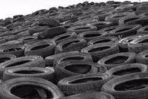 Các enzym có thể phân hủy được cao su tổng hợp