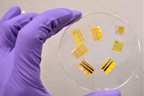  Hình xăm OLED phát sáng