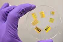  Hình xăm OLED phát sáng