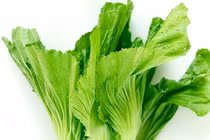 Hạt cải bẹ xanh trị nhiều bệnh