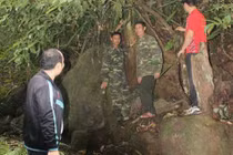 Bí ẩn giống chè cổ Tây Yên Tử