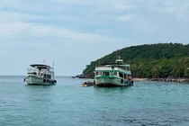 Vùng đồng bằng sông Cửu Long trở thành môi trường thuận lợi phát triển nguồn lợi thủy sản phong phú nhất tại Việt Nam.