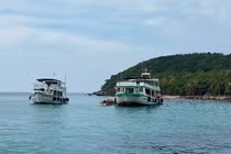 Vùng đồng bằng sông Cửu Long trở thành môi trường thuận lợi phát triển nguồn lợi thủy sản phong phú nhất tại Việt Nam.