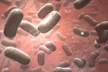 Bệnh thương hàn nguy hiểm thế nào?